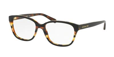 COACH HC6103