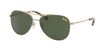 COACH HC7079