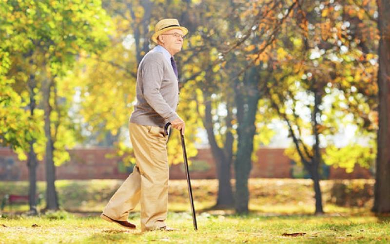 Unveiling the Hidden Benefits of Walking Canes for Health and Wellness